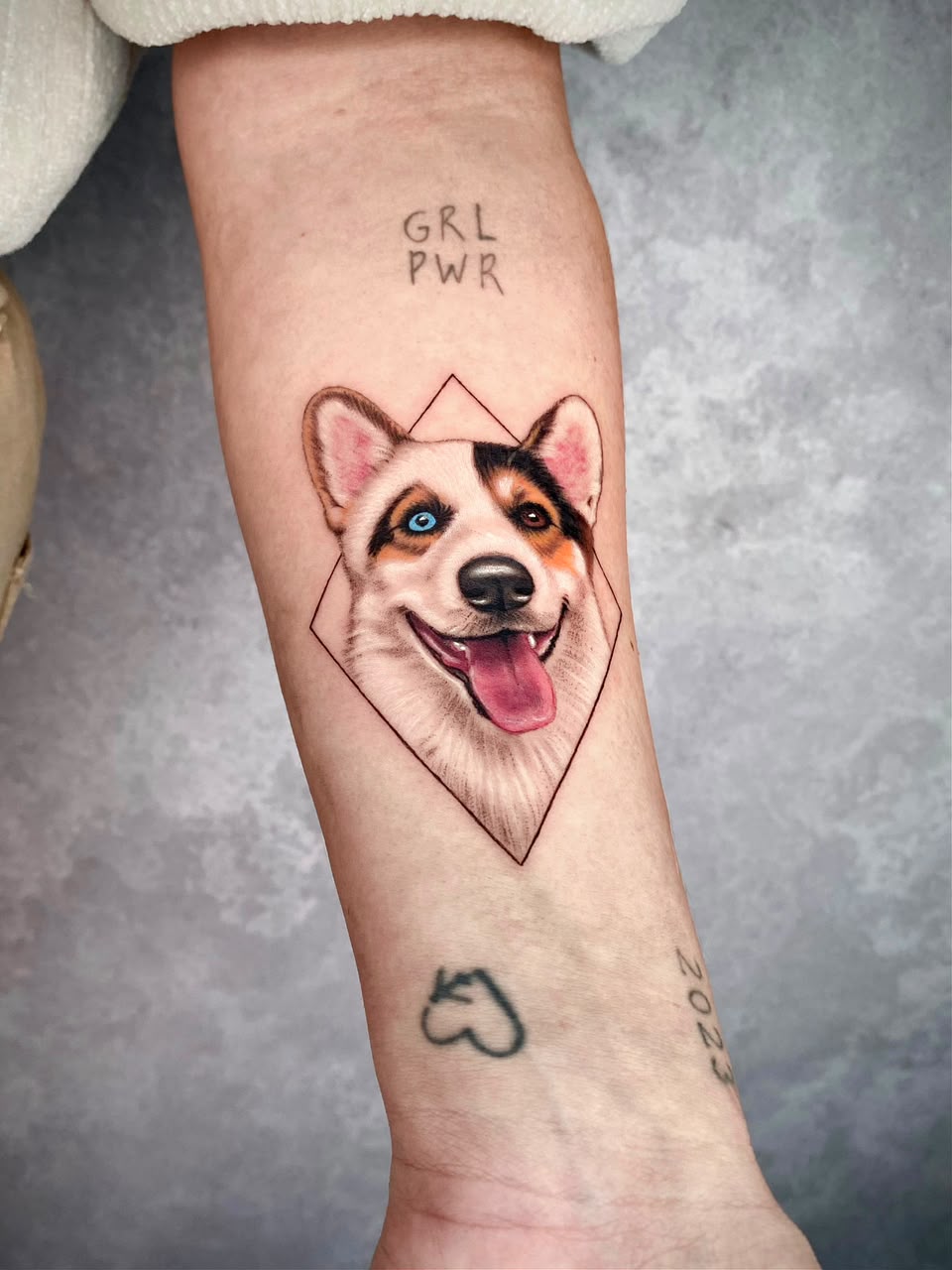 Tatuagem colorida de cachorro no antebraço com moldura geométrica, feita por Felipe Santos